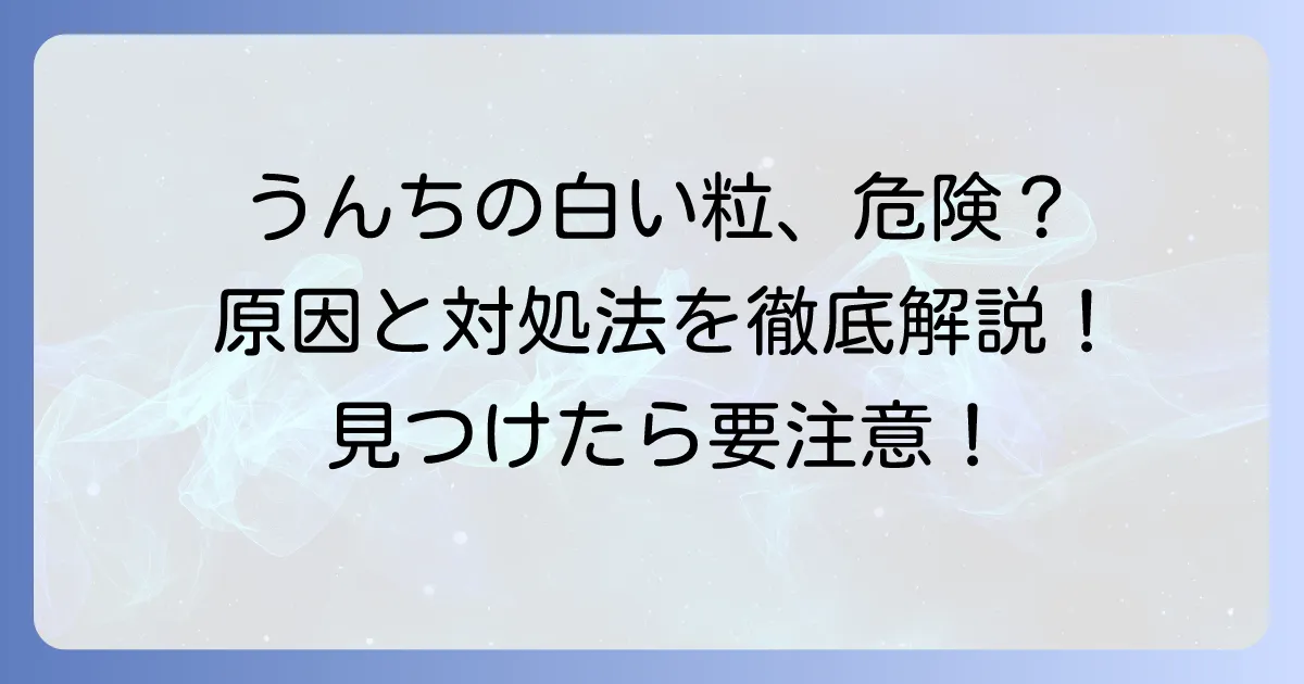 大人のうんちに白い粒が混じるのはなぜ？その正体と原因、対処法を徹底解説