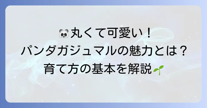 パンダガジュマルとは？その魅力と基本情報