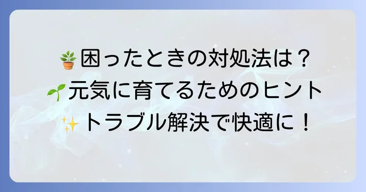 パンダガジュマルが大きくならない？よくあるトラブルと解決策