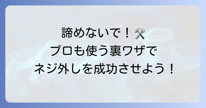輪ゴムでダメならこれ!専門工具を使ったネジ外し方法