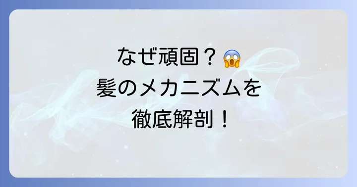 なぜ朝の寝癖は頑固なのか?男性の髪のメカニズム
