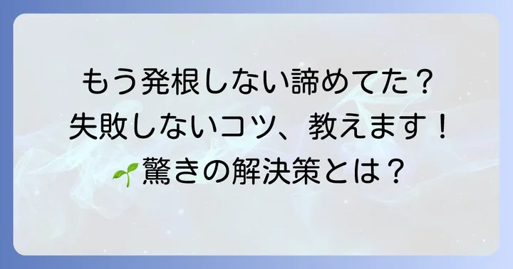 ルートン使用時のよくある疑問と失敗しないためのコツ