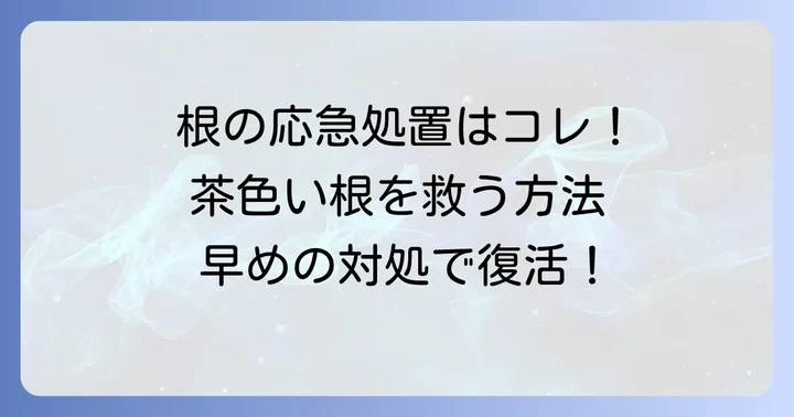 茶色い根を見つけたらすぐにできる対処法