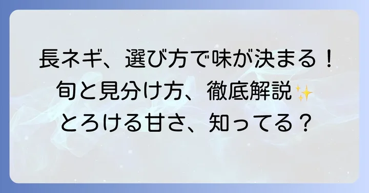 太い長ネギの魅力と選び方