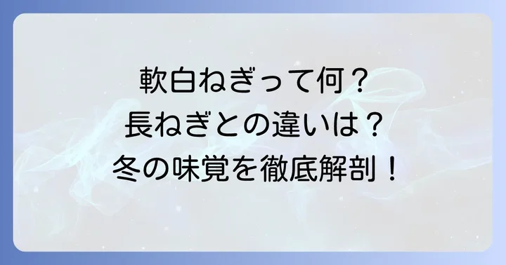 軟白ねぎとは？その特徴と長ねぎとの違い