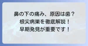 鼻の下の根尖病巣を徹底解説！原因・症状・治療の全て