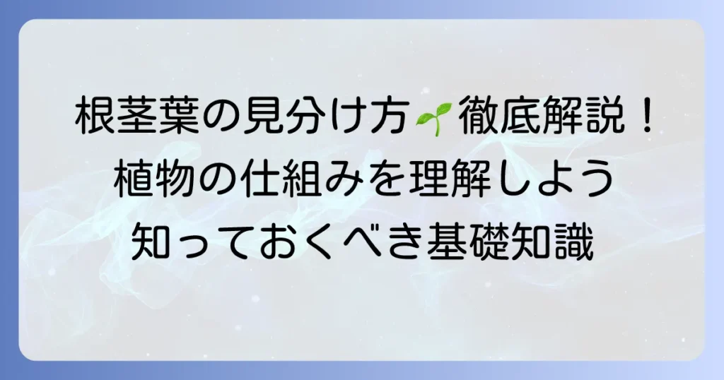 根茎葉の区別がある植物とは？その特徴と役割を徹底解説
