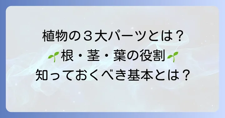 根茎葉の区別がある植物とは?基本を理解しよう