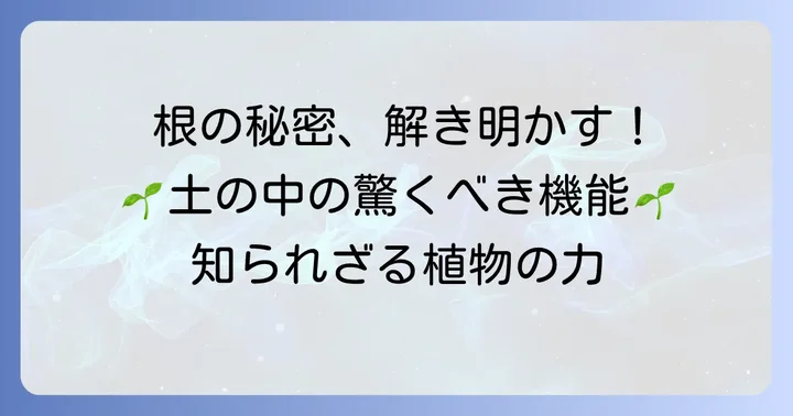 根の驚くべき機能:植物を支え、養分を吸収する