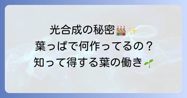 葉の働き:光合成の工場と生命活動の源