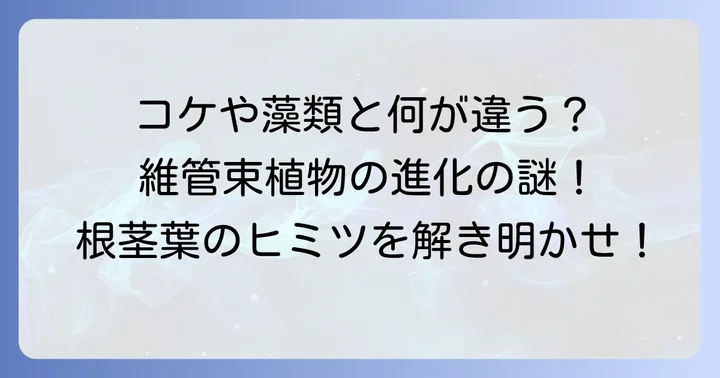 根茎葉の区別がない植物との違い