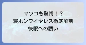 寝ホンワイヤレスはマツコの知らない世界で紹介？快眠のための選び方とおすすめを徹底解説