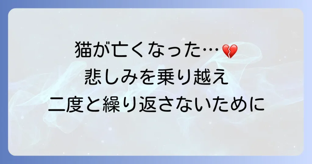 猫が留守番中に死んでしまった…悲しみを乗り越え、二度と繰り返さないための対策と心のケア