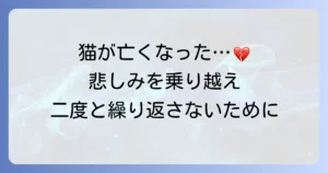 猫が留守番中に死んでしまった…悲しみを乗り越え、二度と繰り返さないための対策と心のケア