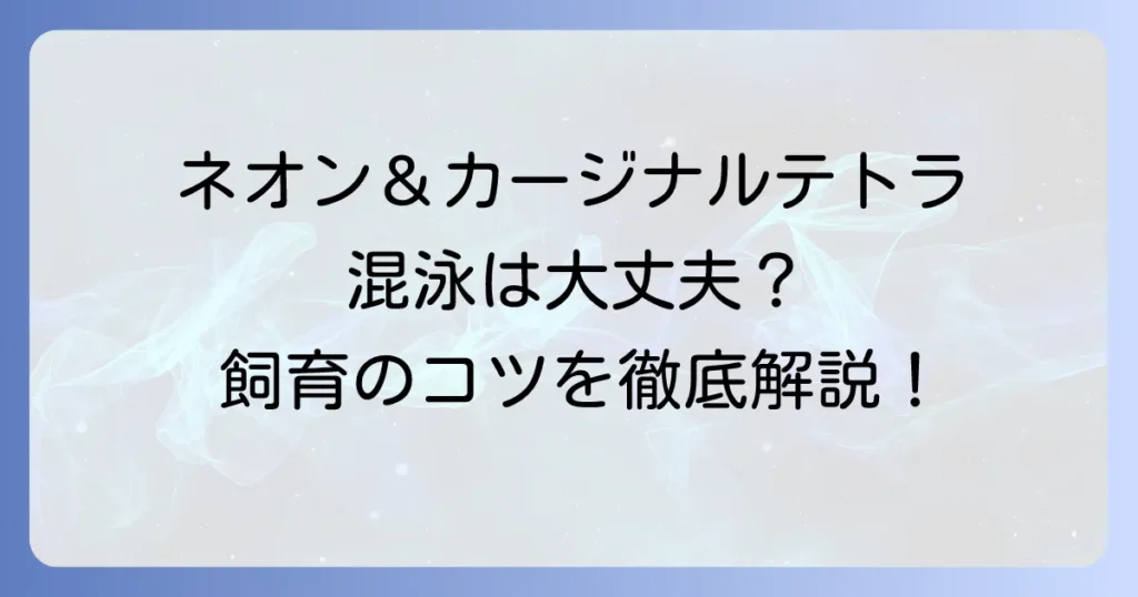 カージナルテトラとネオンテトラの混泳は可能？成功するための飼育方法を徹底解説
