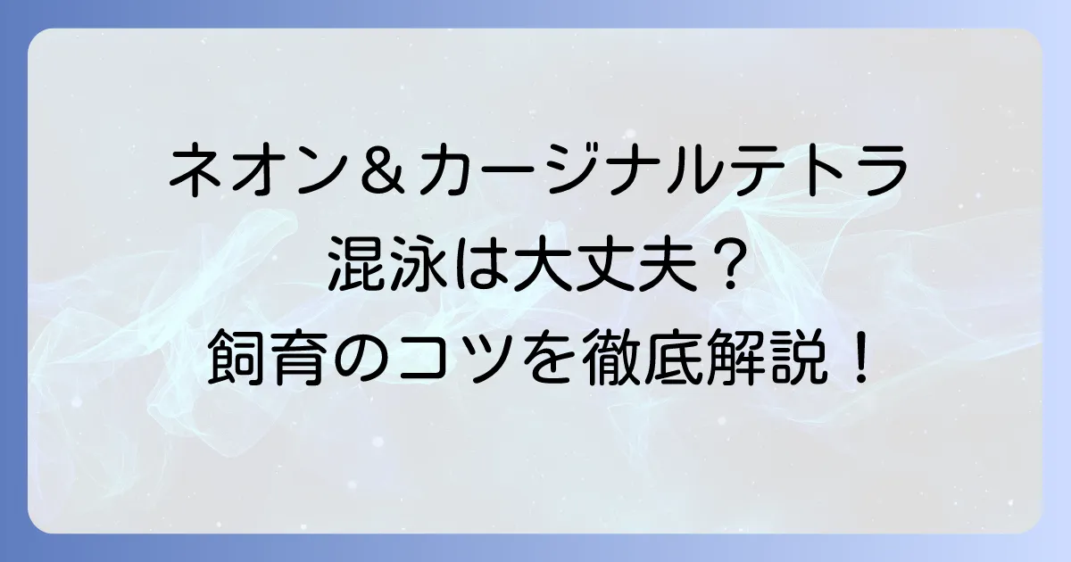 カージナルテトラとネオンテトラの混泳は可能？成功するための飼育方法を徹底解説
