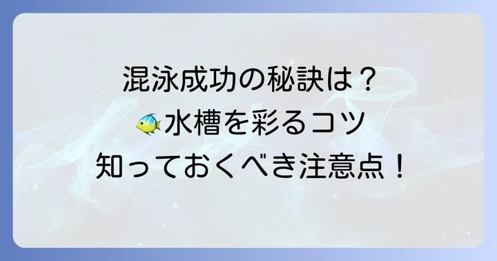 混泳を成功させるための飼育のコツと注意点