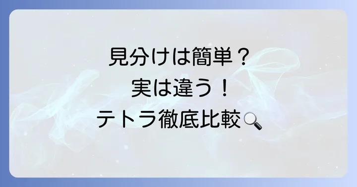 カージナルテトラとネオンテトラの違いを徹底比較