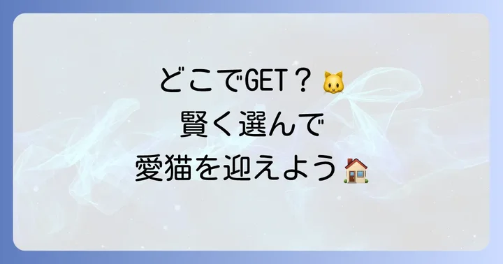 ネヴァマスカレードの購入先とそれぞれの特徴