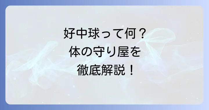 好中球とは？体内で果たす重要な役割