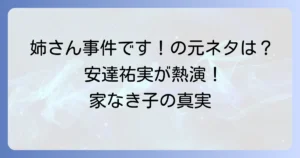 「姉さん、事件です」の元ネタを深掘り！ドラマ「家なき子」と安達祐実が残した名言の真実