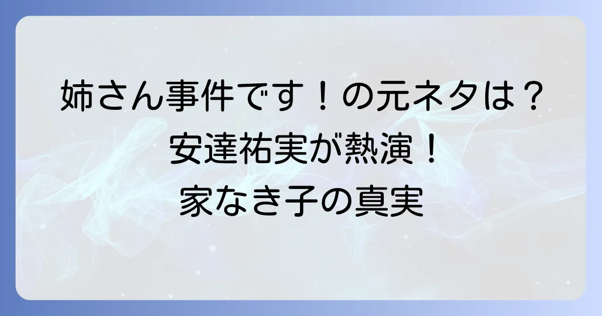 「姉さん、事件です」の元ネタを深掘り！ドラマ「家なき子」と安達祐実が残した名言の真実