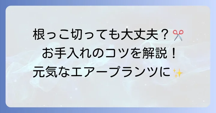 エアープランツの根っこは切るべき？判断のコツと手入れ方法