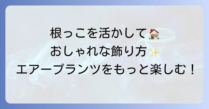 根っこを活かしたエアープランツの飾り方