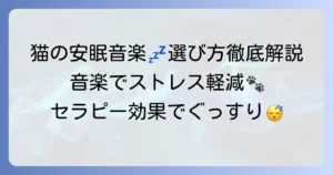 ペットのセラピー猫が寝る音楽で安眠を促すコツと選び方を徹底解説