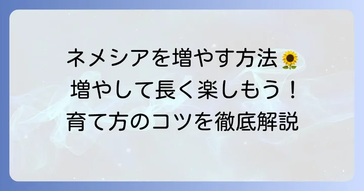 宿根ネメシアとは？魅力と増やし方の基本