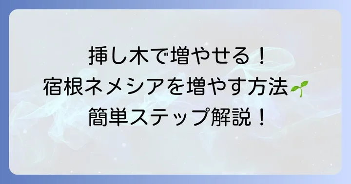 【実践編】宿根ネメシアの挿し木で増やす方法