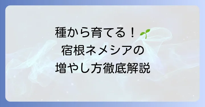 【実践編】宿根ネメシアを種まきで増やす方法