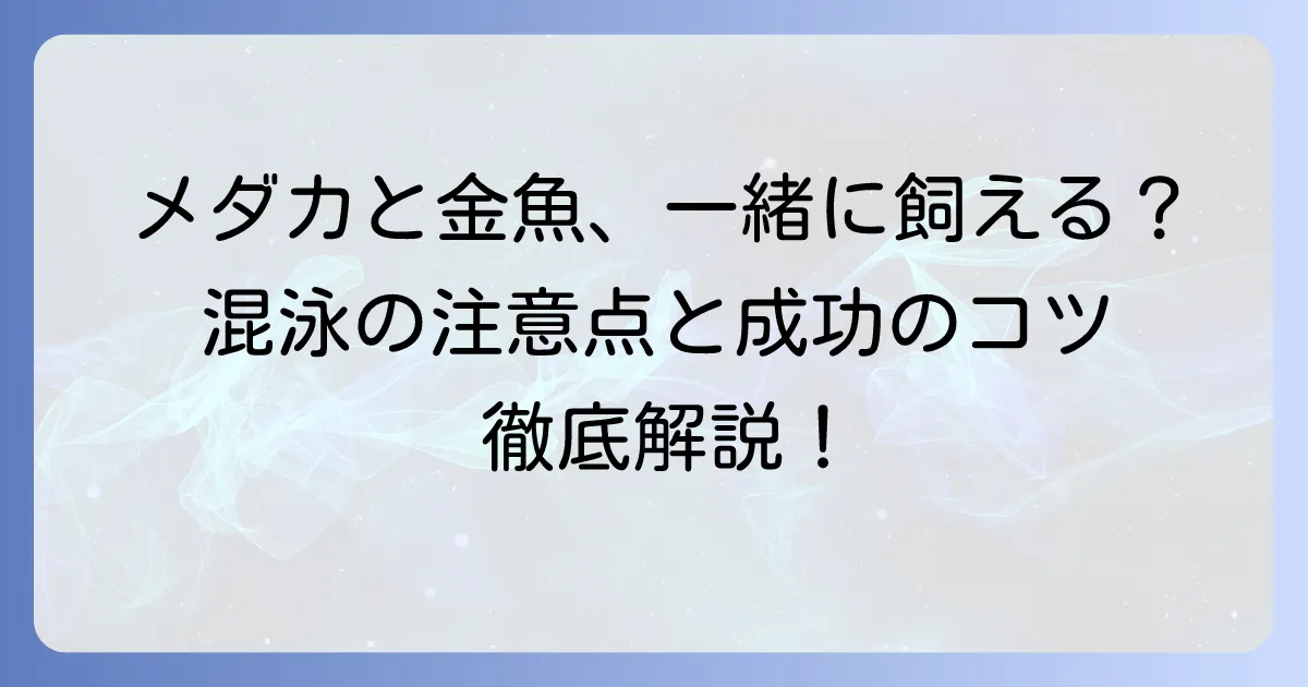 メダカと金魚は一緒に飼える?混泳の注意点と成功のコツを徹底解説
