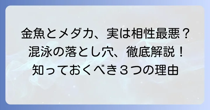 メダカと金魚の混泳は基本的に難しい理由