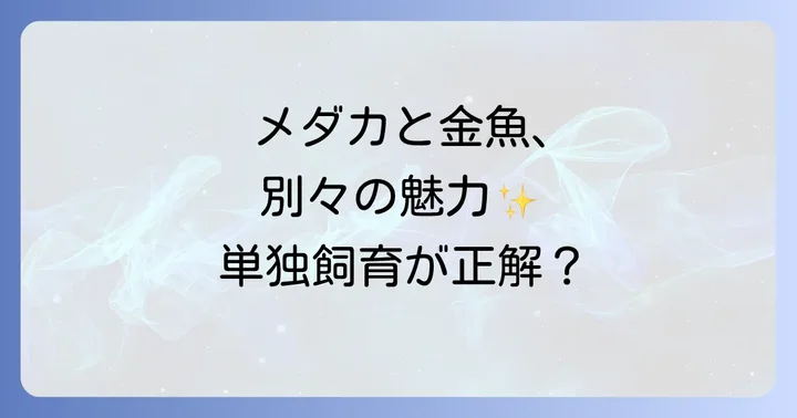 メダカと金魚、それぞれの単独飼育の魅力