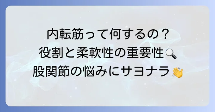 内転筋とは？その役割と柔軟性の重要性