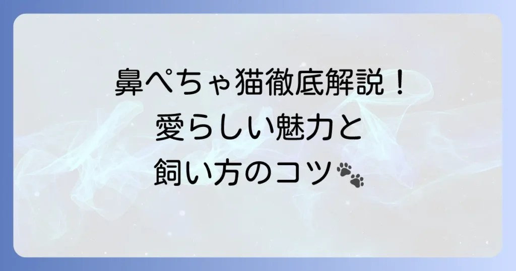 鼻ぺちゃ猫の種類を徹底解説！その愛らしい魅力と飼い方のコツ