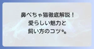 鼻ぺちゃ猫の種類を徹底解説！その愛らしい魅力と飼い方のコツ