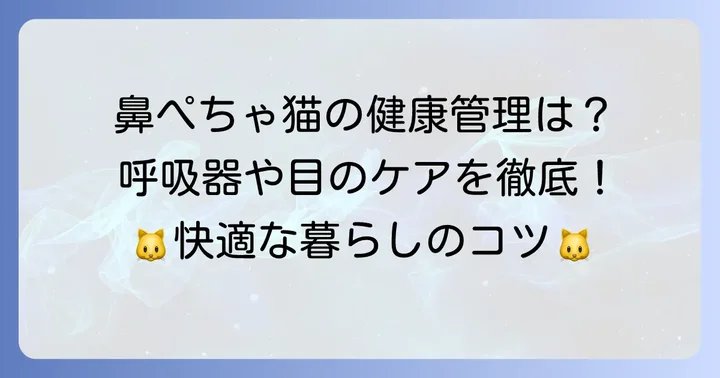 鼻ぺちゃ猫と暮らす上での注意点と健康管理