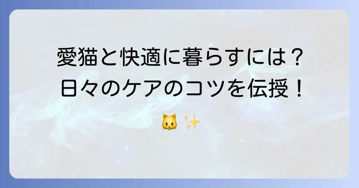 鼻ぺちゃ猫の飼い方と日々のケア