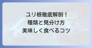 食べられるユリ根の種類を徹底解説！見分け方から美味しい食べ方まで