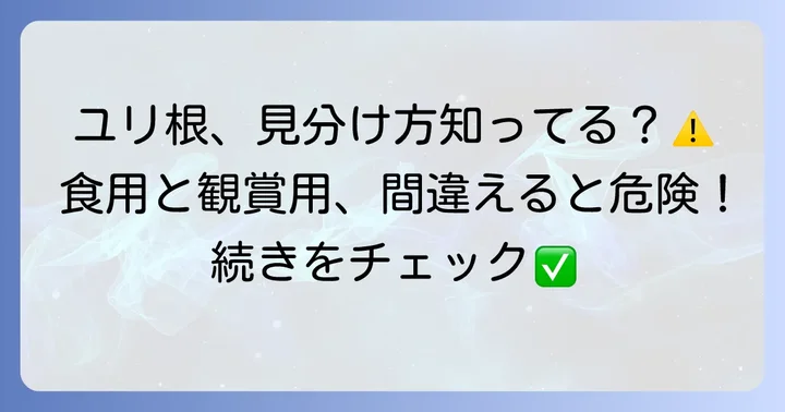 食用ユリ根と観賞用ユリ根の見分け方と注意点