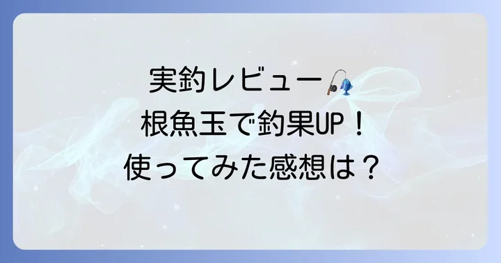 実際に使って分かった！根魚玉のインプレッションと釣果