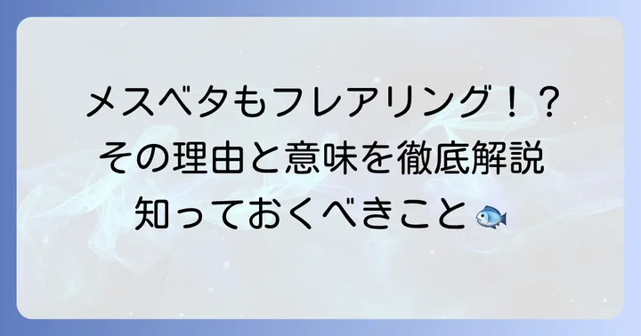 ベタのフレアリングとは？メスもするの？
