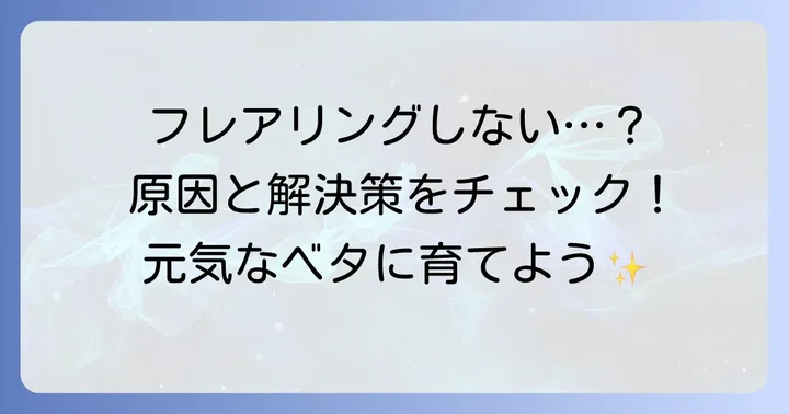 メスベタがフレアリングしない時の原因と対処法