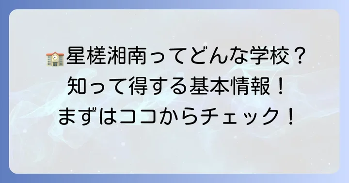星槎国際湘南高等学校の基本情報と特徴