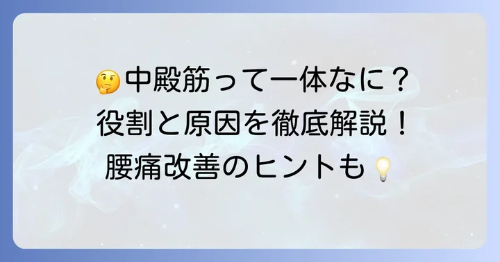 中殿筋とは？その役割と硬くなる原因を知ろう