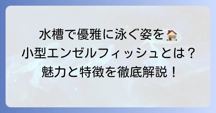 エンゼルフィッシュ小型種とは？その魅力と特徴