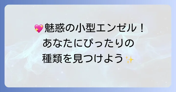 小型エンゼルフィッシュの主な種類と選び方