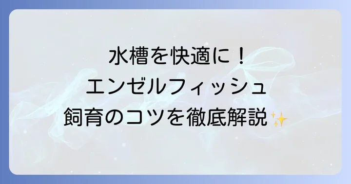 小型エンゼルフィッシュの飼育環境を整えるコツ